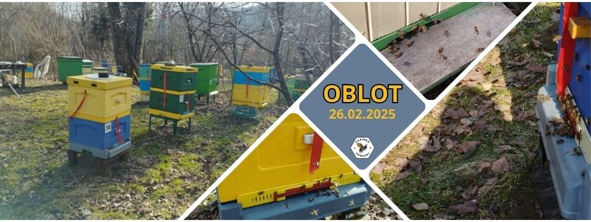 Oblot 26-02-2025