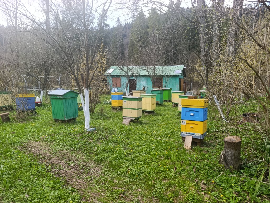 Pasieka Prełuki