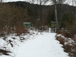 Zima w pasiece – 14-02-2020