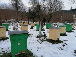 A w pasiece jeszcze zima 22-01-2021