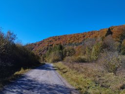 Bieszczady jesienią - magia kolorów