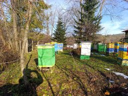 Po ataku zimy – 6 grudnia 2025