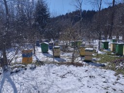 Zima na chwilę wróciła do Prełuk