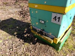 Zapachniało wiosną - na pasiece