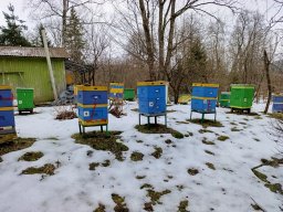 Niepokojące wieści i kontrola w pasiece